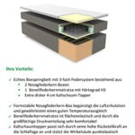 SAM® LED-Boxspringbett 180x200 cm, Austin, anthrazit, Stoff, Bonellfederkern-Matratze H3, Topper